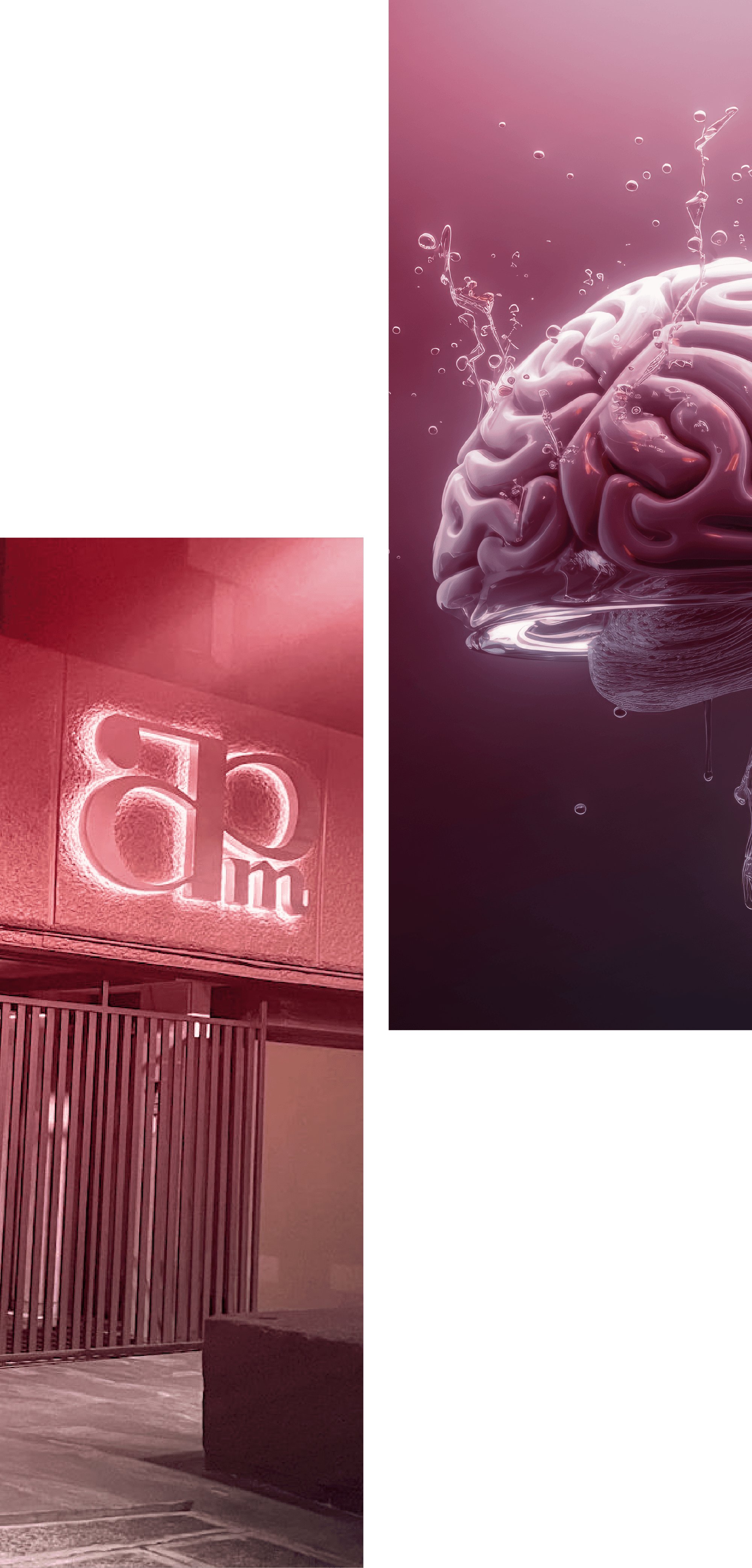 Dr. Ramón de la Fuente